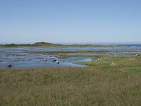 N, Nordland, Vestvagoy, Hoynes 6, Saxifraga-Willem van Kruijsbergen