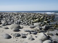 N, Nordland, Vestvagoy, Unstad 15, Saxifraga-Willem van Kruijsbergen