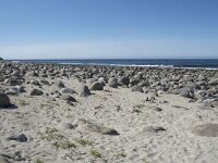 N, Nordland, Vestvagoy, Unstad 5, Saxifraga-Willem van Kruijsbergen