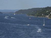 N, Oslo, Oslofjord 48, Saxifraga-Willem van Kruijsbergen