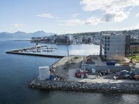 N, Troms, Tromso 5, Saxifraga-Willem van Kruijsbergen