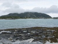 N, Troms, Tromso, Sommaroy 18, Saxifraga-Willem van Kruijsbergen