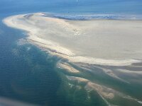 NL, Friesland, Vlieland, Richel 2, Saxifraga-Foto Fitis-Sytske Dijksen