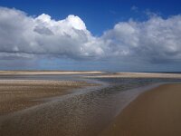 NL, Noord-Holland, Texel, De Hors 167, Saxifraga-Foto Fitis-Sytske Dijksen