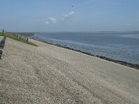 NL, Noord-Holland, Texel, Het Noorden 8, Saxifraga-Willem van Kruijsbergen