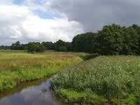 NL, Drenthe, Tynaarlo, Tynaarlose Diep 16, Saxifraga-Foto Fitis-Sytske Dijksen