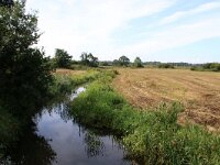 NL, Drenthe, Tynaarlo, Tynaarlose Diep 17, Saxifraga-Foto Fitis-Sytske Dijksen