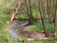 NL, Limburg, Bergen, Geldern Nierskanaal 1, Saxifraga-Foto Fitis-Sytske Dijksen