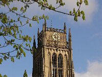 NL, Gelderland, Zaltbommel 3, Saxifraga-Foto Fitis-Sytske Dijksen