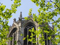 NL, Utrecht, Utrecht, Domtoren 5, Saxifraga-Foto Fitis-Sytske Dijksen