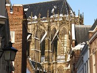 NL, Utrecht, Utrecht, Domtoren 7, Saxifraga-Foto Fitis-Sytske Dijksen