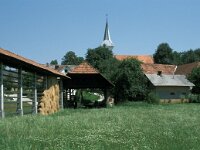 SI, Dolensjka, Trebnje, Zubina 1, Saxifraga-Jan van der Straaten