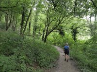 B, Limburg, Voeren, Teuvenerberg 5, Saxifraga-Tom Heijnen