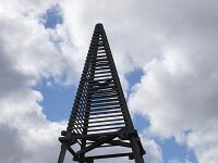 NL, Friesland, Schiermonnikoog, Willemsduin 1, Saxifraga-Foto Fitis-Sytske Dijksen