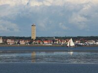 NL, Friesland, Terschelling, Ters chelling-West 22, Saxifraga-Sytske Dijksen