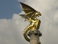 NL, Noord-Brabant, 's Hertogenbosch, Marsh dragon 1, Saxifraga-Jan van der Straaten