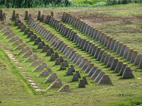 NL, Noord-Holland, Bergen, Camperduin, Atlantikwall 2, Saxifraga-Foto Fitis-Sytske Dijksen