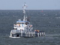 NL, Noord-Holland, Texel, Marsdiep 7, Saxifraga-Foto Fitis-Sytske Dijksen
