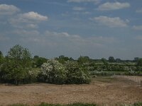 NL, Noord-Brabant, Boxmeer, Oeffelter Meent 31, Saxifraga-Jan van der Straaten