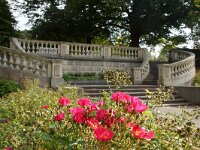 NL, Zuid-Holland, 's-Gravenhage, Landgoed Clingendael 3, Saxifraga-Foto Fitis-Sytske Dijksen