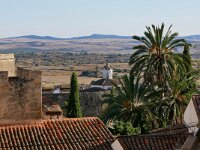 E, Caceres, Trujillo 26, Saxifraga-Tom Heijnen