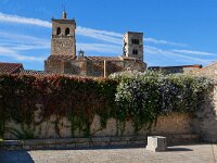 E, Caceres, Trujillo 28, Saxifraga-Tom Heijnen