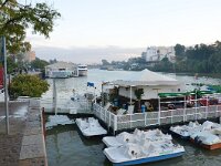 E, Sevilla, Sevilla, Guadalquivir, Saxifraga-Tom Heijnen