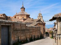 E, Toledo, La Calzada de Oropesa 2, Saxifraga-Tom Heijnen