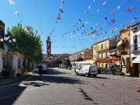 E, Toledo, Oropesa 2, Saxifraga-Tom Heijnen