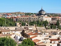 E, Toledo, Toledo 13, Saxifraga-Tom Heijnen