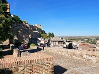 E, Toledo, Toledo 16, Saxifraga-Tom Heijnen