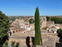 E, Toledo, Toledo 17, Saxifraga-Tom Heijnen