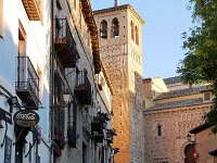 E, Toledo, Toledo 24, Saxifraga-Tom Heijnen