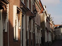 NL, Friesland, Leeuwarden 5, Saxifraga-Hans Dekker