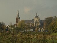 NL, Noord-Brabant, 's Hertogenbosch, Sint Jan 8, Saxifraga-Jan van der Straaten