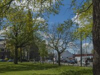 NL, Noord-Brabant, Tilburg, Korvelplein 5, Saxifraga-Jan van der Straaten