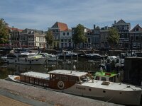 NL, Zuid-Holland, Gorinchem, Linge 3, Saxifraga-Marijke Verhagen