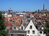 NL, Zuid-Holland, Leiden, Burcht 3, Saxifraga-Foto Fitis-Sytske Dijksen