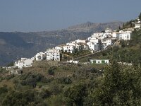 E, Malaga, Jubrique 6, Saxifraga-Willem van Kruijsbergen