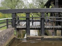 NL, Limburg, Leudal, Leumolen 3, Saxifraga-Tom Heijnen