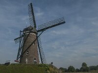 NL, Noord-Brabant, Nuenen 2, Saxifraga-Jan van der Straaten