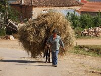 AL, Korce, Pustec 2, Saxifraga-Foto Fitis-Sytske Dijksen