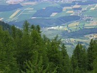 A, Kaernten, Feistritz 1, Saxifraga-Hans Dekker