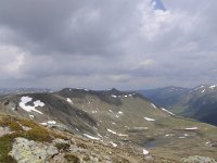 A, Kaernten, Krems, Koenigstuhl 5, Saxifraga-Luuk Vermeer