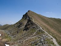 A, Kaernten, Reichenau 3, Saxifraga-Luuk Vermeer