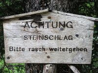 A, Salzburg, Rauris, Seidwinkeltal 1, Saxifraga-Foto Fitis-Sytske Dijksen