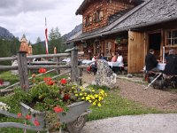 A, Steiermark, Ramsau 1, Saxifraga-Jonathan Vandevoorden