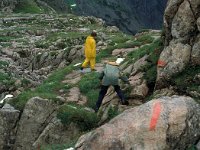 A, Vorarlberg, Dalaas, Steinernes Meer 1, Saxifraga-Jan van der Straaten