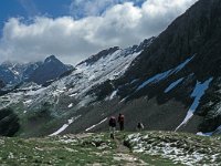 A, Vorarlberg, Nenzing, Barthuemeljoch 13, Saxifraga-Jan van der Straaten