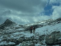 A, Vorarlberg, Nenzing, Barthuemeljoch 2, Saxifraga-Jan van der Straaten